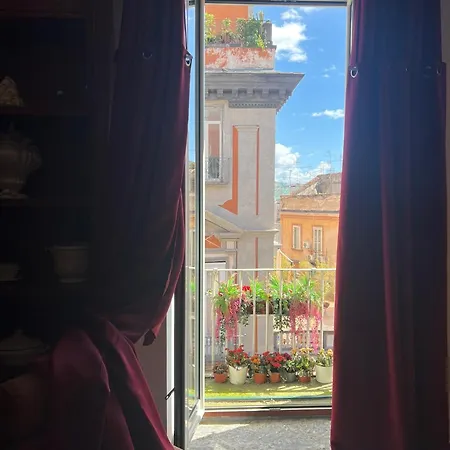 Ann' Amari Amaranto ナポリ