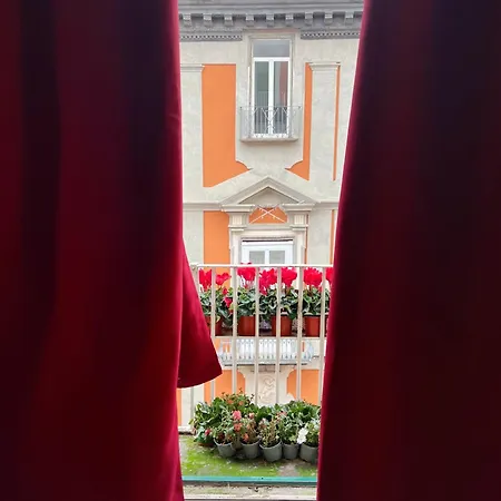 Ann' Amari Amaranto * Napoli